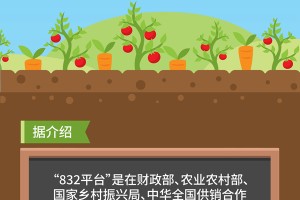 我国将依托“832平台”深入推进政府采购脱贫地区农副产品