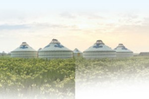 共建人与自然和谐共生的现代化